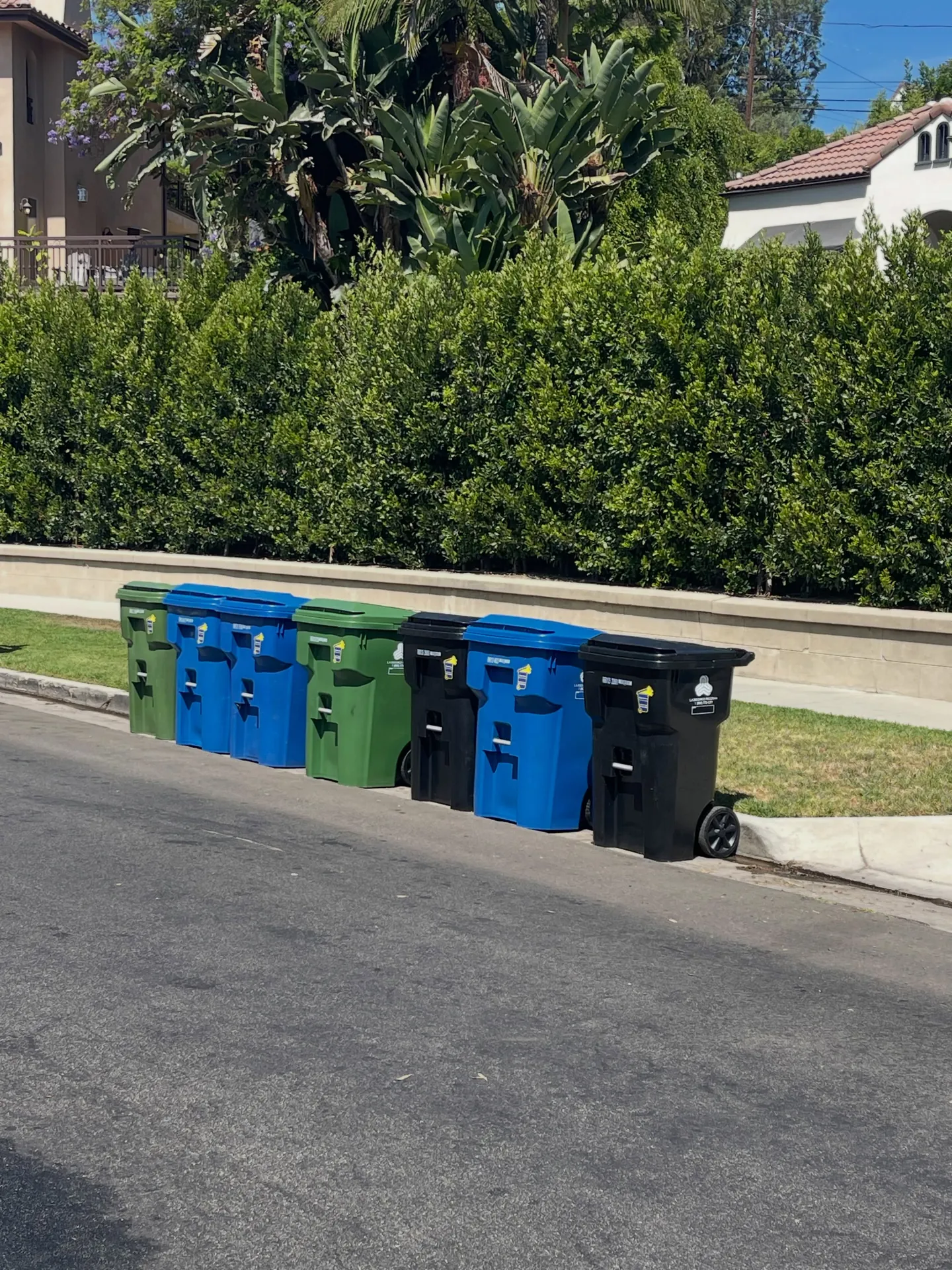 Six clean bins lined up at the curb on a residential street